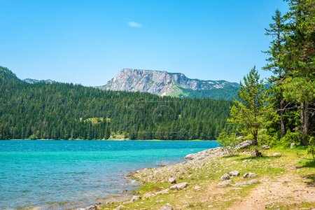 Téléchargez les photos : Côte du lac Black (Crno Jezero) dans le parc national Durmitor. Zabljak, Monténégro - en image libre de droit