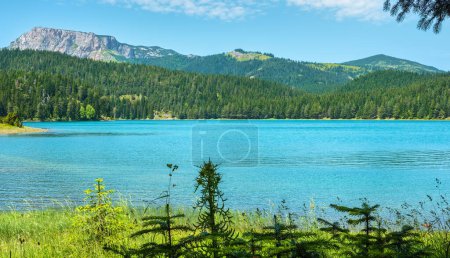 Téléchargez les photos : Panorama du lac noir glaciaire (Crno Jezero) dans le parc national Durmitor. Zabljak, Monténégro - en image libre de droit