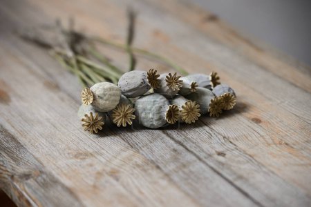 Téléchargez les photos : Têtes de graines de pavot séchées sur table en bois - en image libre de droit