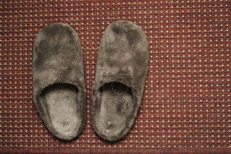 Photo for Soft brown house slippers on the rug in front of the door - Royalty Free Image