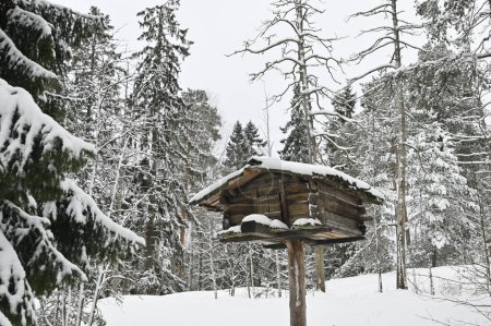 Téléchargez les photos : Cache traditionnelle de nourriture en bois sur un tronc d'arbre dans la forêt en hiver - en image libre de droit