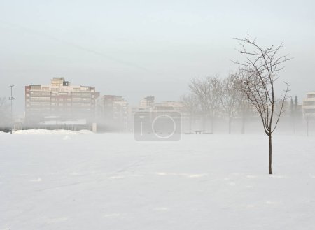 A serene winter landscape shows a park blanketed in snow with leafless trees and fog-shrouded buildings in the background