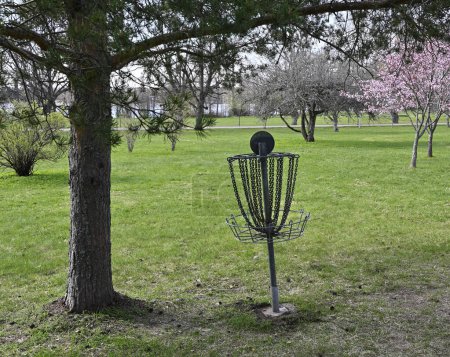 Téléchargez les photos : Panier de golf frisbee dans le parc au printemps - en image libre de droit