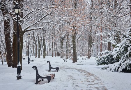 Téléchargez les photos : Arbres enneigés et bancs dans le parc de la ville. Coucher de soleil - en image libre de droit