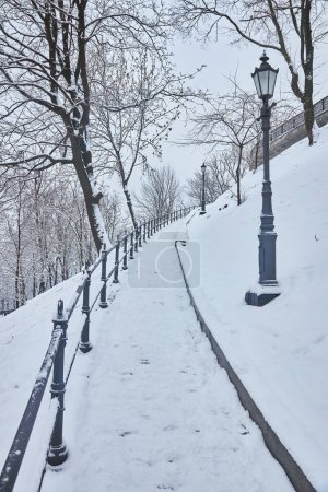 Photo for Snow-covered trees and benches in the city park. Sunset - Royalty Free Image