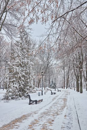 Téléchargez les photos : Bancs dans le parc de la ville d'hiver qui a été rempli de neige - en image libre de droit