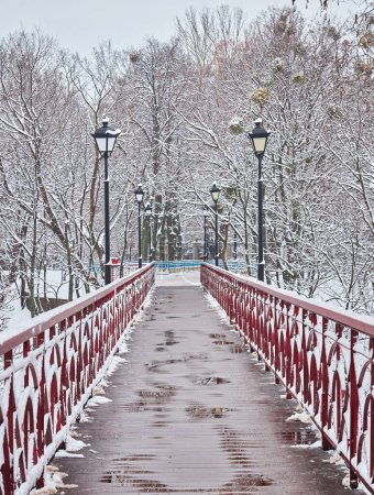 Téléchargez les photos : Le pont de l'Amant dans le parc Mariyinsky en hiver, Kiev, Ukraine - en image libre de droit