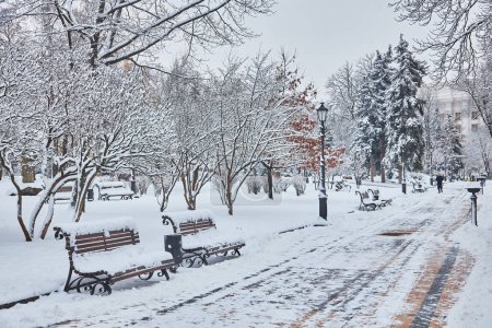 Téléchargez les photos : Arbres enneigés et bancs dans le parc de la ville. Coucher de soleil - en image libre de droit