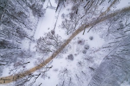Téléchargez les photos : Sentier vide dans le parc d'hiver. arbres gelés, recouverts de neige fraîche. vue aérienne du dessus. - en image libre de droit