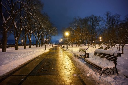 Téléchargez les photos : Scène hivernale avec banc dans le parc la nuit couvert de neige près d'un lampadaire pendant une neige - en image libre de droit