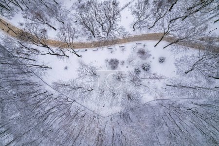 Foto de Sendero vacío en el parque de invierno. árboles congelados, cubiertos por la primera nieve fresca. vista superior aérea. - Imagen libre de derechos