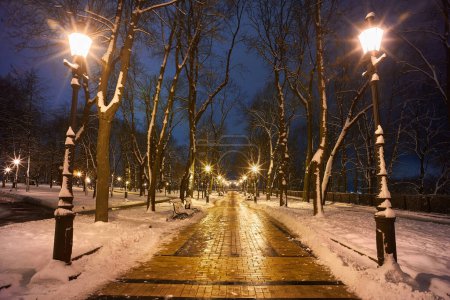 Foto de Escena de invierno con un banco en el parque en la noche cubierto de nieve cerca de una lámpara de calle durante una nieve - Imagen libre de derechos