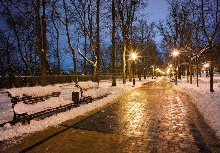 Foto de Escena de invierno con un banco en el parque en la noche cubierto de nieve cerca de una lámpara de calle durante una nieve - Imagen libre de derechos