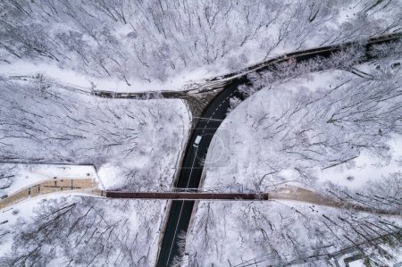 Téléchargez les photos : Le pont de l'Amant dans le parc Mariyinsky en hiver, Kiev, Ukraine - en image libre de droit
