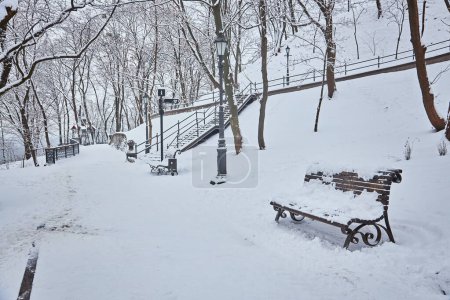 Foto de Bancos en el parque de invierno de la ciudad que se ha llenado de nieve - Imagen libre de derechos