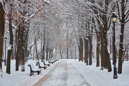 Foto de Bancos en el parque de invierno de la ciudad que se ha llenado de nieve - Imagen libre de derechos