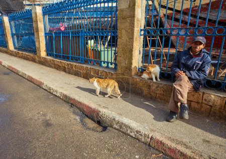 Téléchargez les photos : ESSAOUIRA, MOROCCO. 13 th February, 2017: Port of Essaouira, a worker and a cat on the street - en image libre de droit