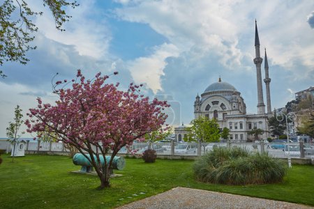 Téléchargez les photos : Istanbul, Turkey - April 24, 2017: The Dolmabah e Mosque. The mosque was completed in 1855 - en image libre de droit