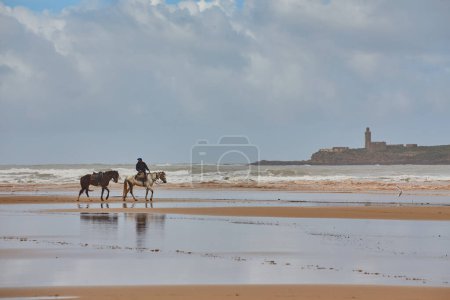 Photo for ESSAOUIRA, MOROCCO. 13 th February, 2017: View on the long beach in Essaouira. Morocco - Royalty Free Image