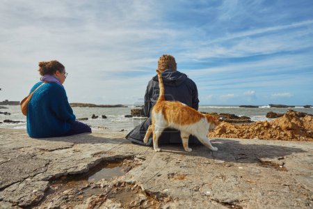 Téléchargez les photos : ESSAOUIRA, MOROCCO. 13 th February, 2017: Ginger cat rubs against people sitting on the beach, Essaouira, Morocco - en image libre de droit