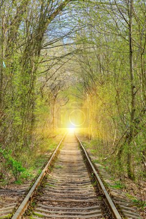 Téléchargez les photos : Ukraine. Spring. Railway in the dense deciduous forest. Tunnel Of Love - en image libre de droit