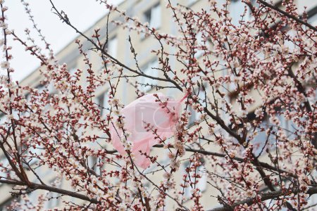 Foto de A plastic bag on a cherry blossom tree and a blue sky - Imagen libre de derechos