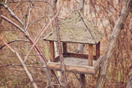 Téléchargez les photos : Wooden fancy bird feeder on the stump in the Park - en image libre de droit