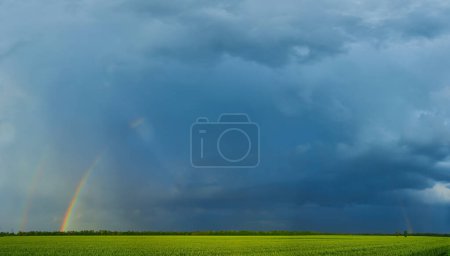 Photo for Double bright colorful rainbow in front of gloomy ominous clouds above an agricultural field planted with sunlit wheat during a windy summer evening - Royalty Free Image