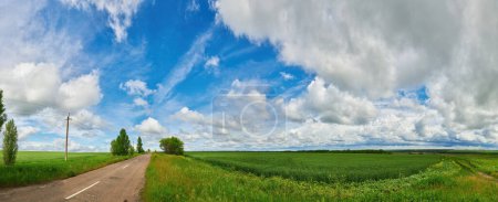Foto de Paisaje rural de verano un panorama con un campo y el cielo azul. agricultura - Imagen libre de derechos