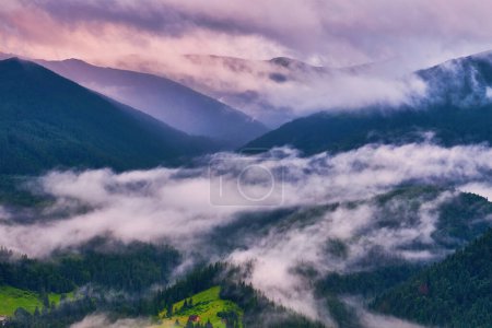Photo for Mountain meadow in morning light. countryside springtime landscape with valley in fog behind the forest on the grassy hill. fluffy clouds on a bright blue sky. nature freshness concept - Royalty Free Image