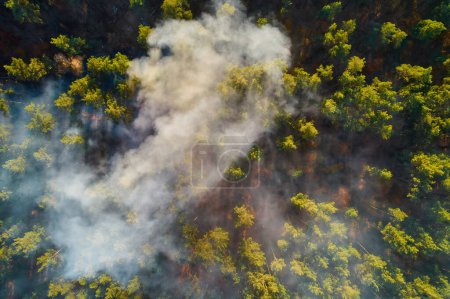 Téléchargez les photos : Aerial drone view of a wildfire in forested area. - en image libre de droit
