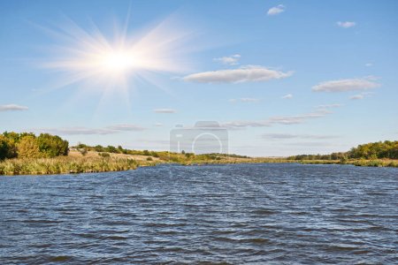Photo for Beautiful lake view in windless weather with green reeds on cloudy day in summer - Royalty Free Image