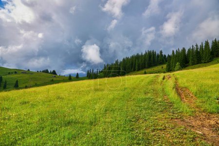 Téléchargez les photos : Paysage estival en montagne et ciel bleu foncé avec nuages - en image libre de droit