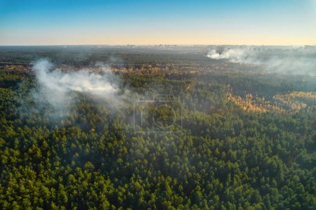 Foto de Strong fire in an empty forest. Fire spreads in a united front, strong smoke from the burning place. View from above, vertically from top to bottom. natural disaster - Imagen libre de derechos
