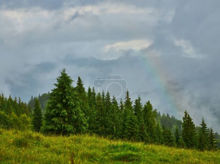 Photo for Majestic mountains landscape under morning sky with clouds. Overcast sky before storm. Carpathian, Ukraine, Europe. - Royalty Free Image