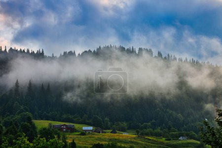 Téléchargez les photos : Prairie de montagne dans la lumière du matin. campagne paysage printanier avec vallée dans le brouillard derrière la forêt sur la colline herbeuse. nuages pelucheux sur un ciel bleu vif. concept de fraîcheur nature - en image libre de droit
