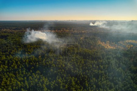 Photo for Burning forest with fire and smoke. Forest fire, aerial top view from drone - Royalty Free Image