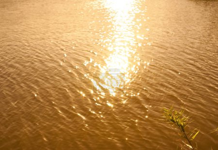 Téléchargez les photos : Vue panoramique sur un magnifique coucher de soleil ou lever de soleil au-dessus de la rivière le soir d'été
. - en image libre de droit