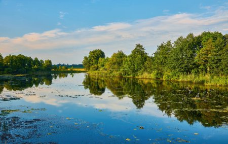 Téléchargez les photos : Belle vue sur le lac par temps sans vent avec roseaux verts par temps nuageux en été - en image libre de droit