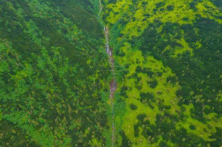 Téléchargez les photos : Un petit ruisseau qui coule du sommet des Carpates, vue générale depuis le drone. Montagnes d'été - en image libre de droit