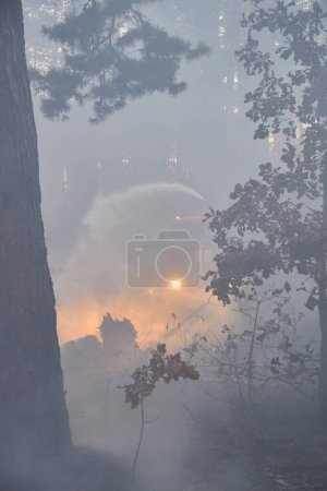 Photo for Water cannon of a fire engine shooting a high-velocity stream of water, firemen fighting fire in forest. Kyiv region, Ukraine - Royalty Free Image