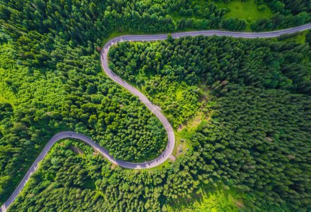 Téléchargez les photos : Route sinueuse à travers forêt dense de pins. Vue aérienne du drone, du haut vers le bas - en image libre de droit