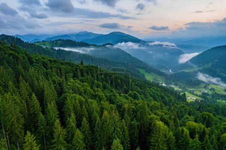 Photo for Aerial view of beautiful mountain forest covered with fluffy clouds. Drone photography - Royalty Free Image