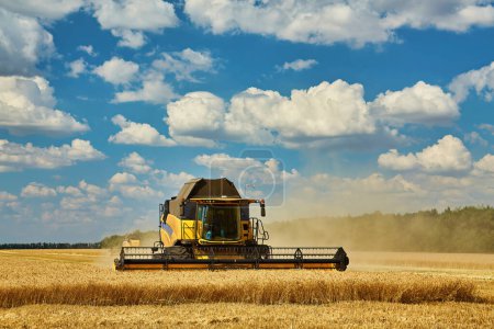 Foto de Cosechadora cosechadora corte trigo, verano paisaje de campos interminables bajo el cielo azul con nubes - Imagen libre de derechos
