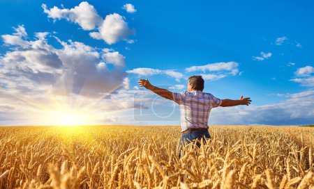 Photo for Happy farmer proudly standing in wheat field. Agronomist wearing corporate uniform, looking at camera on farmland. Rich harvest of cultivated cereal crop. - Royalty Free Image