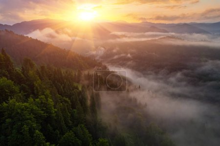 Foto de La niebla envuelve el bosque montañoso. Los rayos del sol naciente atraviesan la niebla. Vista aérea del dron. - Imagen libre de derechos