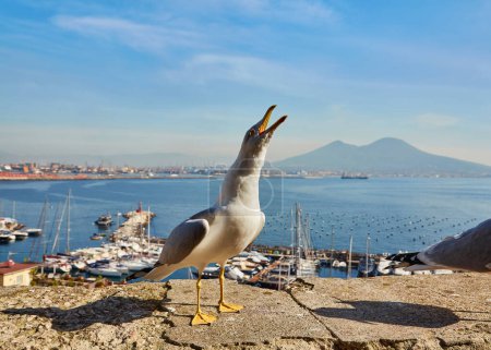 Photo for Seagull on the wall of Castel dell Ovo Egg Castle with panoramic view on mount Vesuvius in Naples, Campania, Italy, Europe. Ferries in the port of Naples. Clouds and sea view. - Royalty Free Image