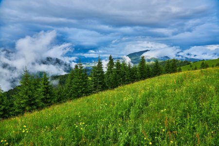 Téléchargez les photos : Printemps dans les Alpes avec des montagnes et des fleurs - en image libre de droit