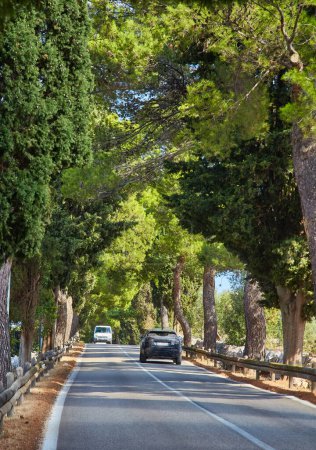 Téléchargez les photos : Route typique de Toscane le long des cyprès et des vignobles - en image libre de droit