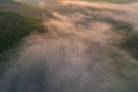 Photo for Fog envelops the mountain forest. The rays of the rising sun break through the fog. Aerial drone view. - Royalty Free Image